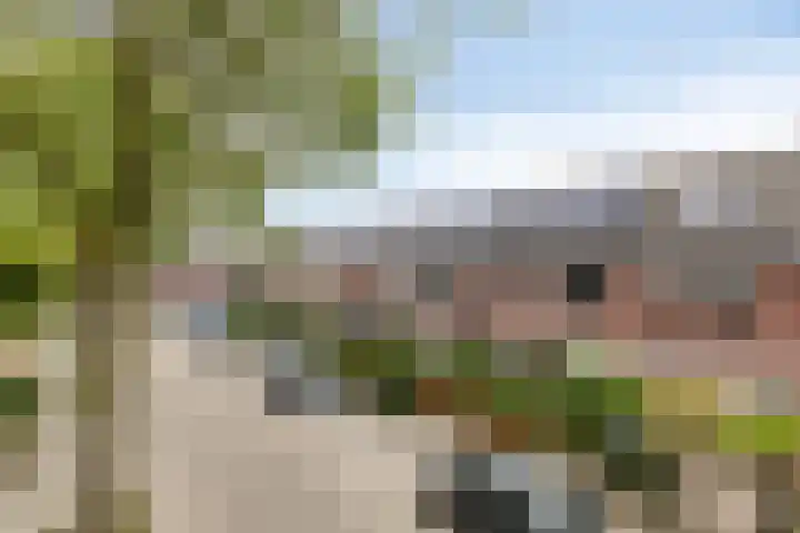 Nijensteinheerd 72 Groningen thumbnail 38