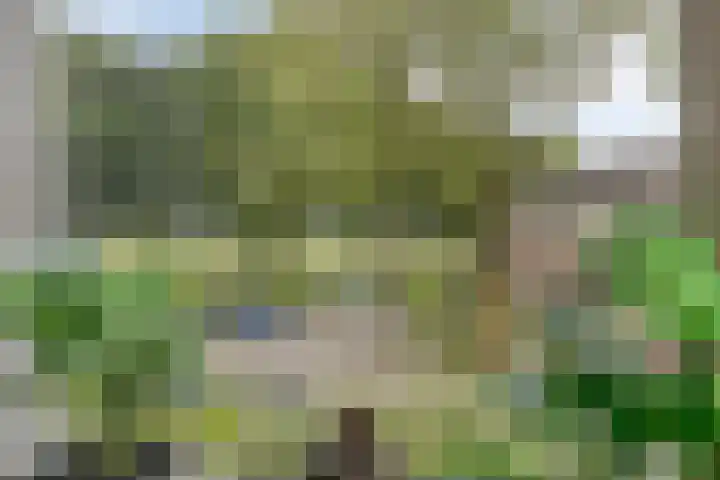 Nijensteinheerd 72 Groningen thumbnail 4