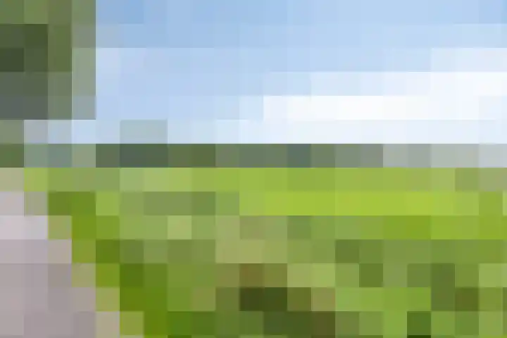 Nijensteinheerd 72 Groningen thumbnail 42