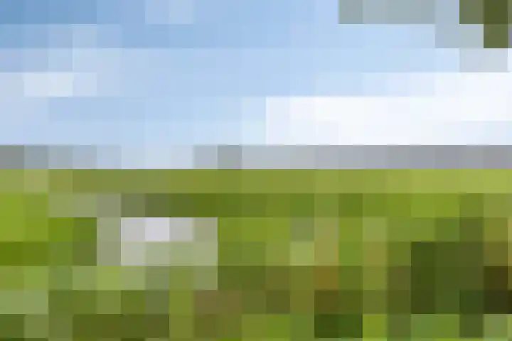 Nijensteinheerd 72 Groningen thumbnail 43