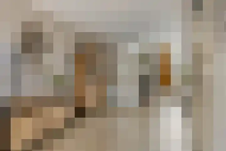 Nijensteinheerd 72 Groningen thumbnail 8