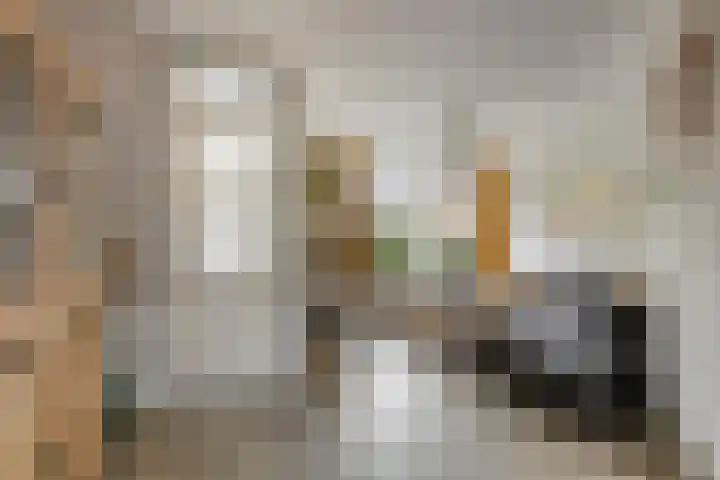 Nijensteinheerd 72 Groningen thumbnail 9