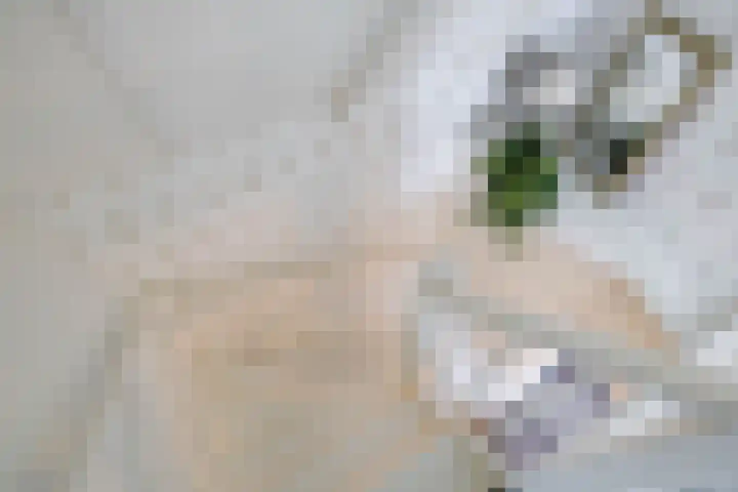 Nijensteinheerd 85 Groningen thumbnail 35