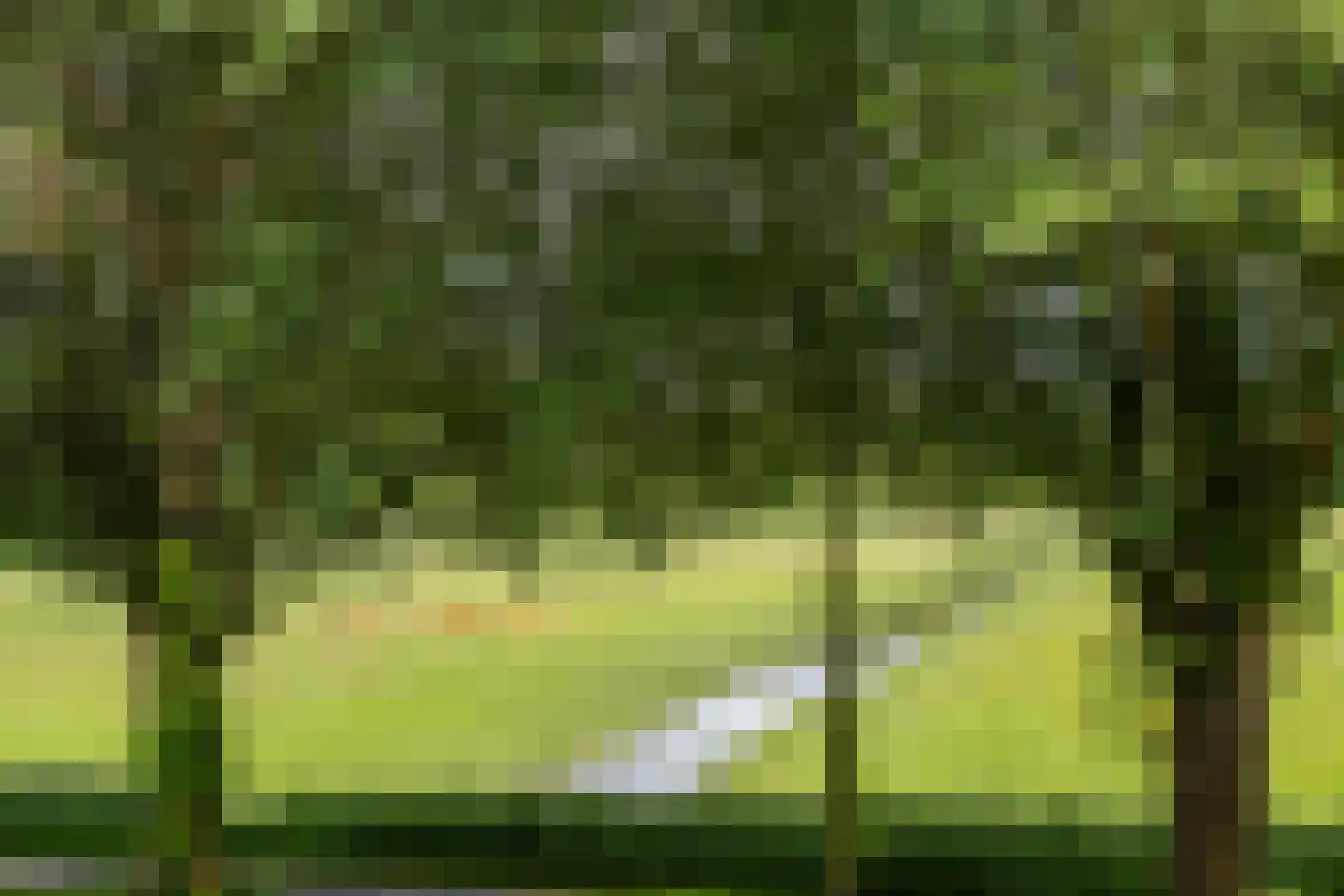 Nijensteinheerd 85 Groningen thumbnail 42