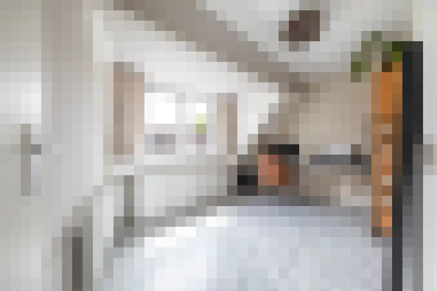 Nijensteinheerd 85 Groningen thumbnail 43