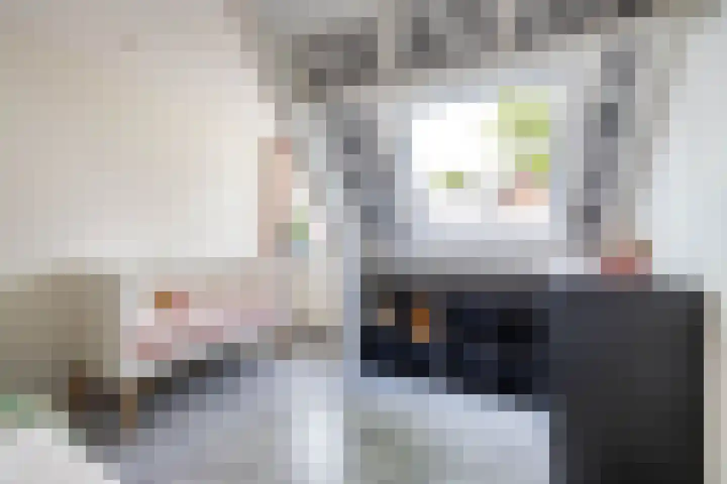 Nijensteinheerd 85 Groningen thumbnail 48