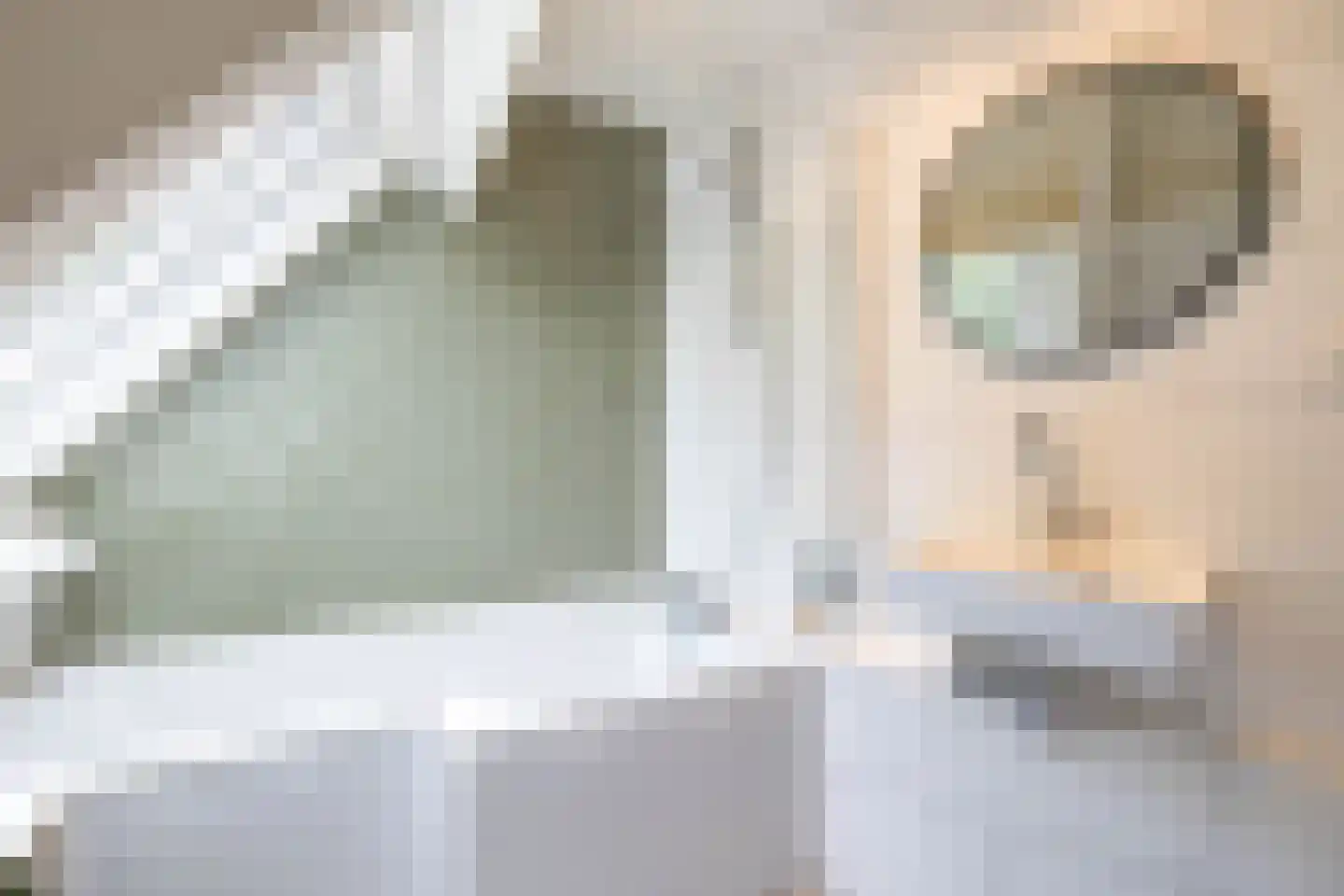 Nijensteinheerd 85 Groningen thumbnail 50