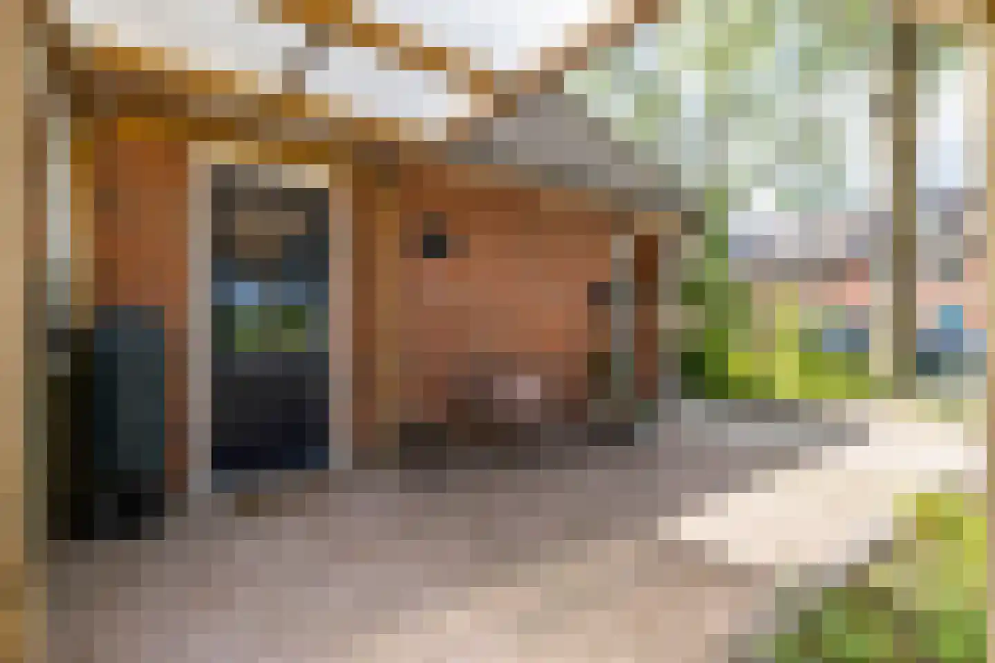 Nijensteinheerd 85 Groningen thumbnail 54