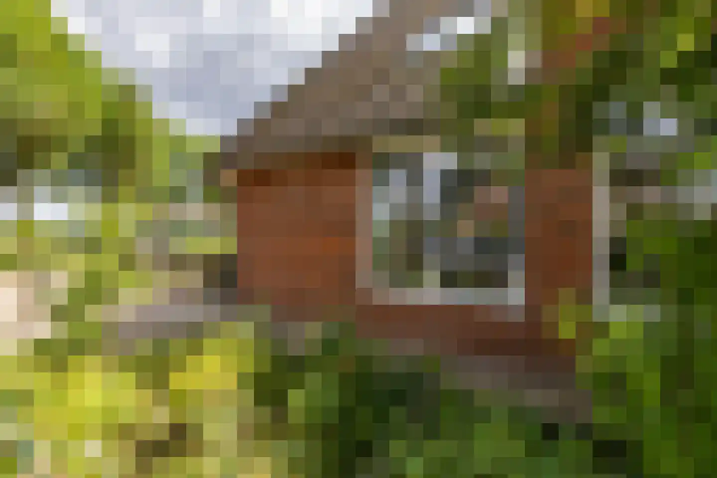 Nijensteinheerd 85 Groningen thumbnail 56