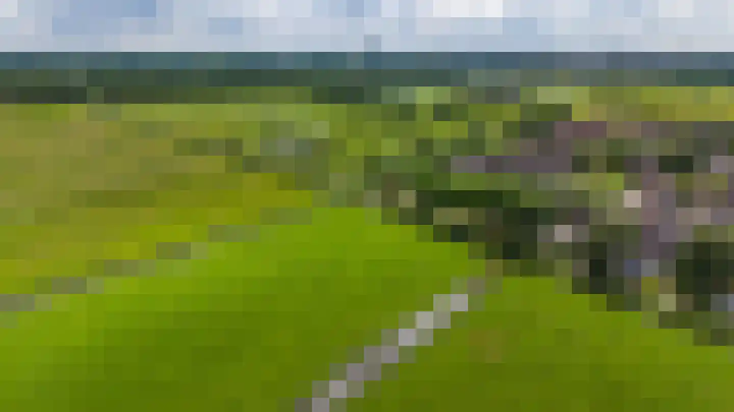 Nijensteinheerd 85 Groningen thumbnail 61