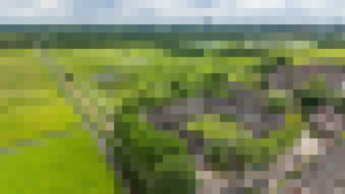 Nijensteinheerd 85 Groningen thumbnail 62