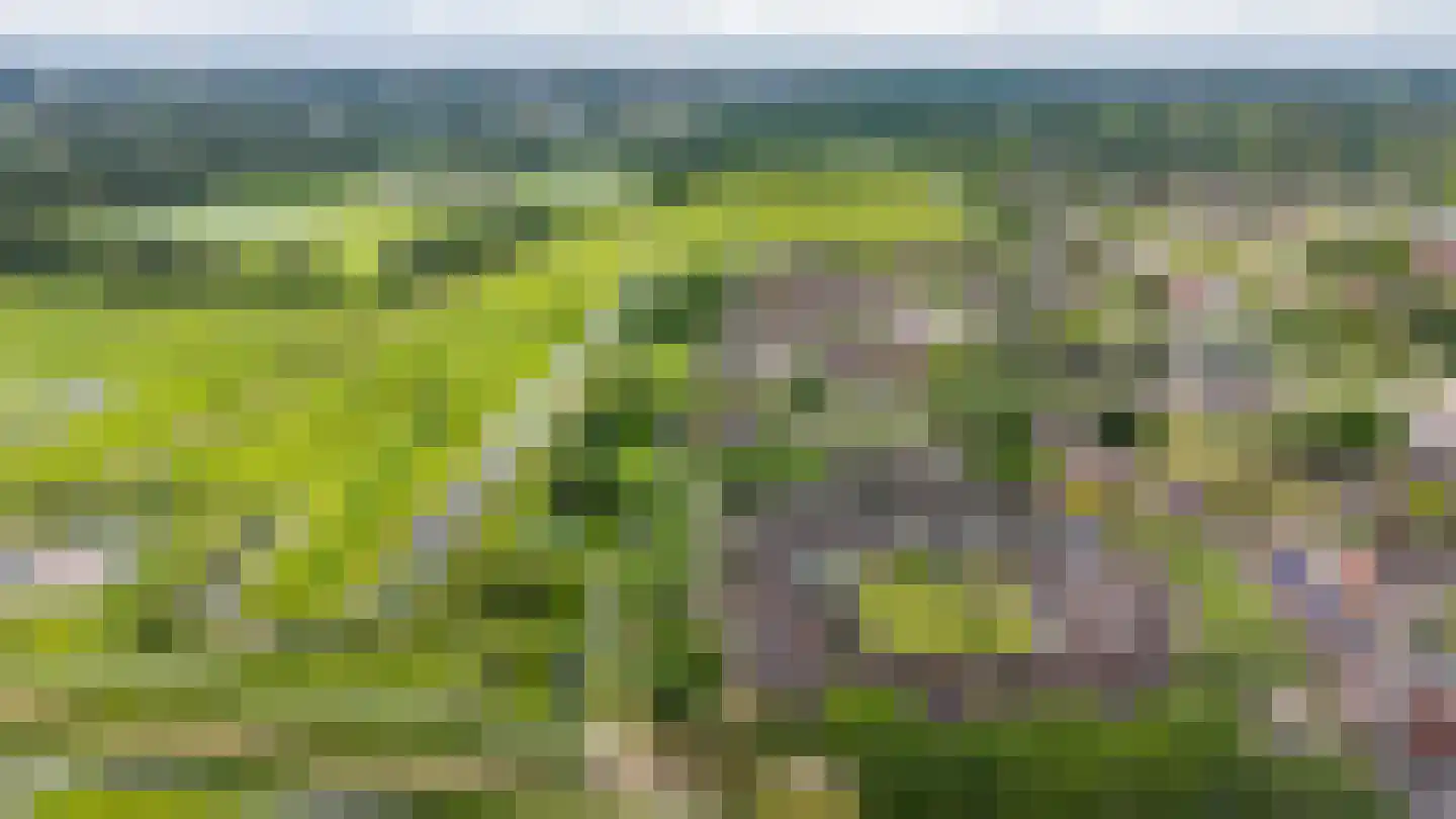 Nijensteinheerd 85 Groningen thumbnail 63