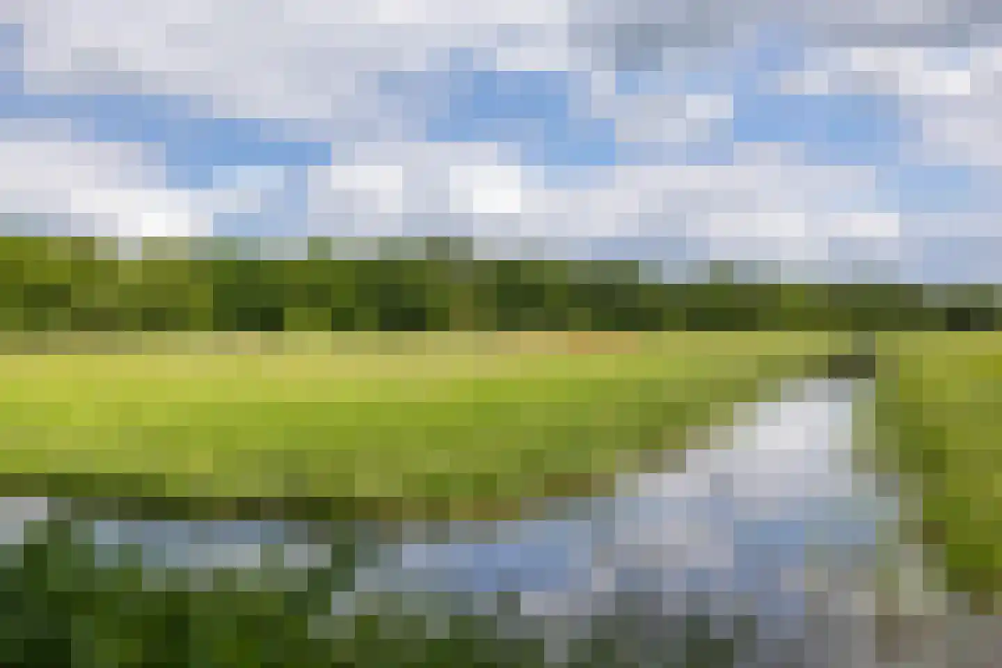 Nijensteinheerd 85 Groningen thumbnail 64