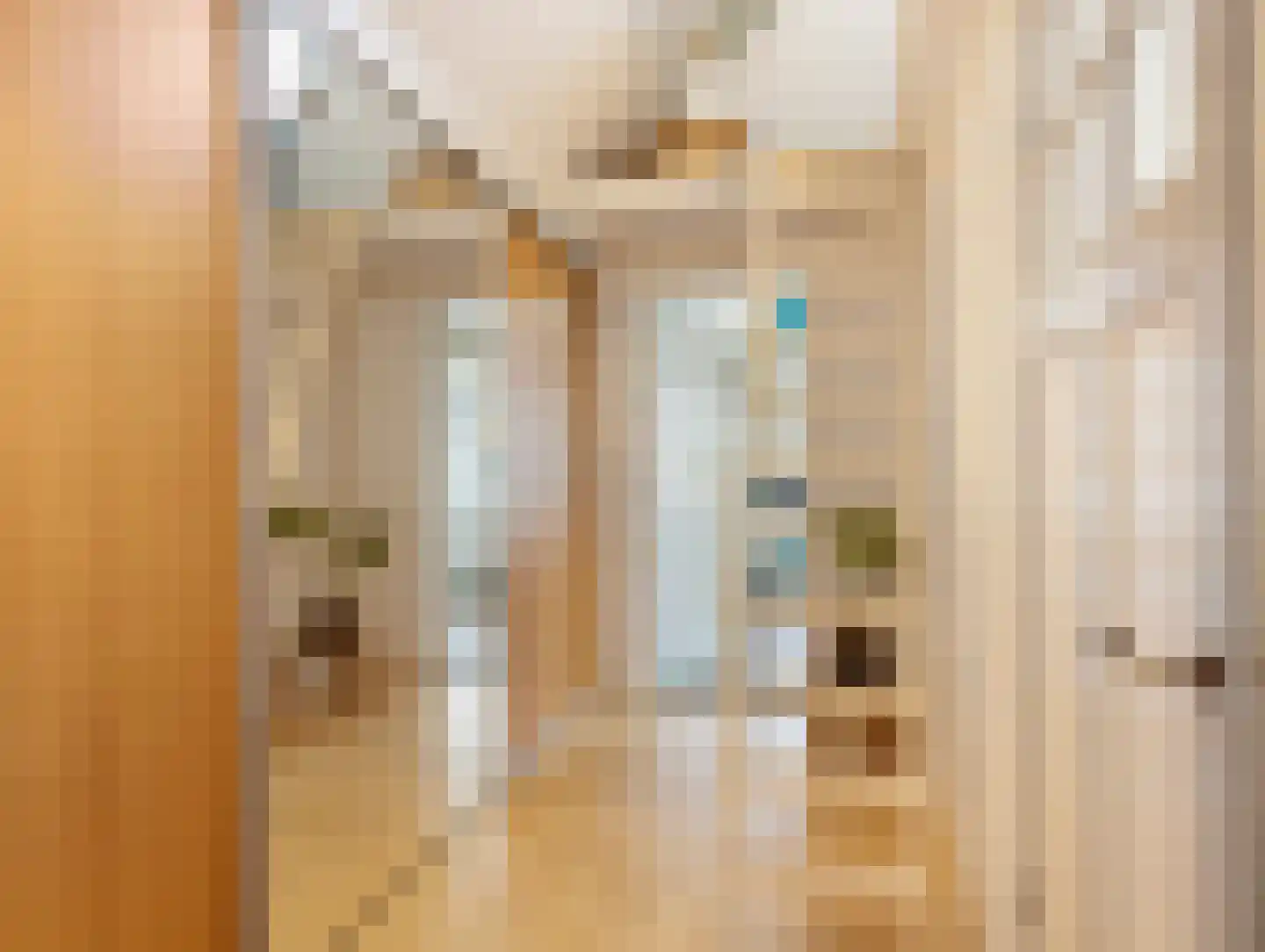 Nijensteinseweg 15 Hagestein thumbnail 37