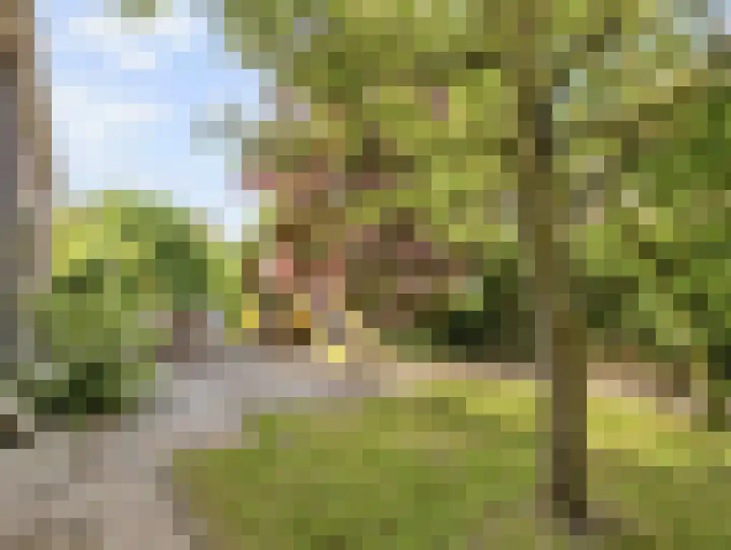 Nijensteinseweg 15 Hagestein thumbnail 41