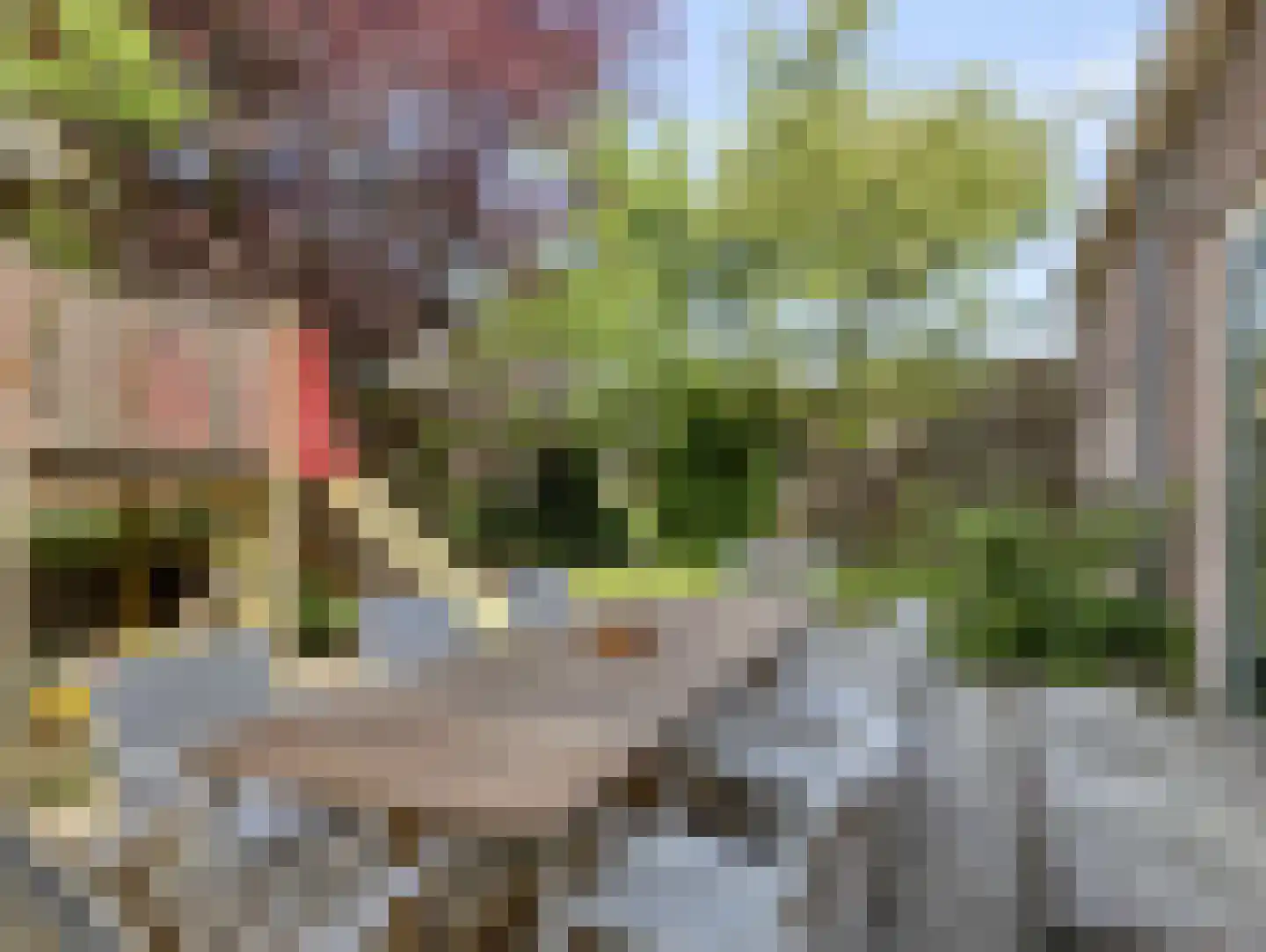 Nijensteinseweg 15 Hagestein thumbnail 42