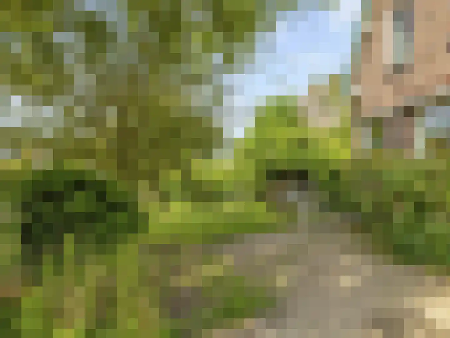 Nijensteinseweg 15 Hagestein thumbnail 52