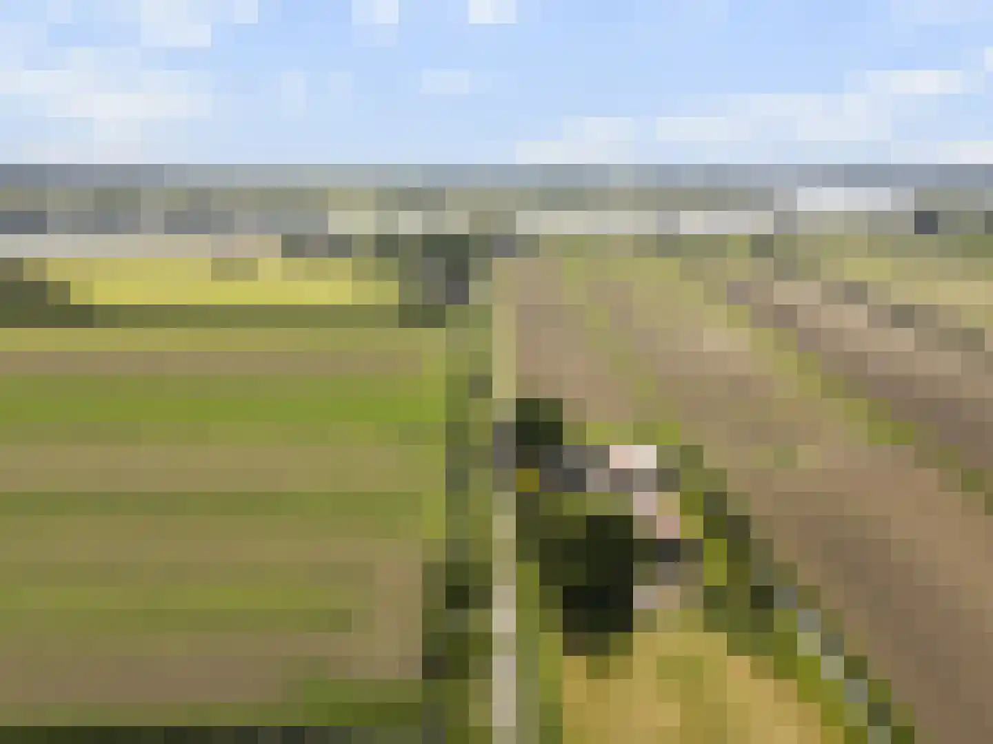 Nijensteinseweg 15 Hagestein thumbnail 64