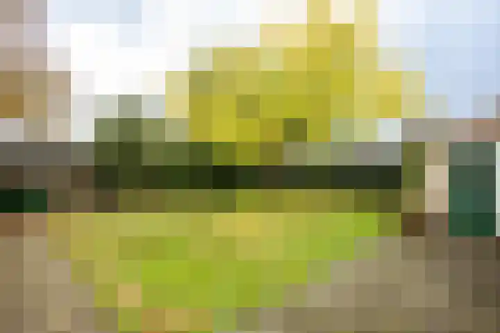 Nijerf 8 a Groesbeek thumbnail 29