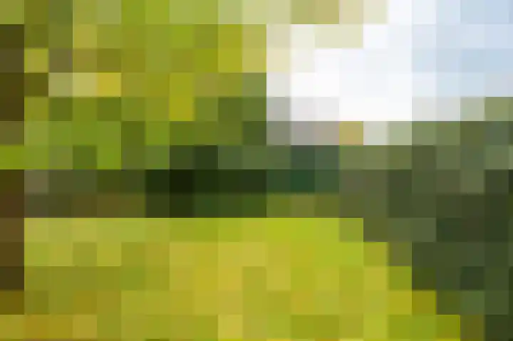Nijerf 8 a Groesbeek thumbnail 30