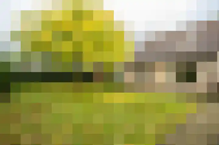 Nijerf 8 a Groesbeek thumbnail 31