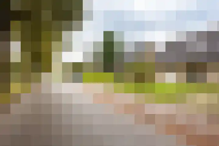 Nijerf 8 a Groesbeek thumbnail 33