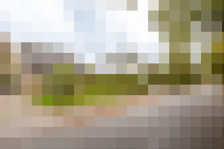 Nijerf 8 a Groesbeek thumbnail 34