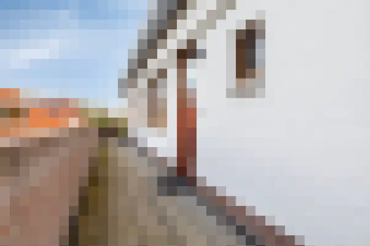 Nijerop 38 Nieuwe Niedorp thumbnail 6