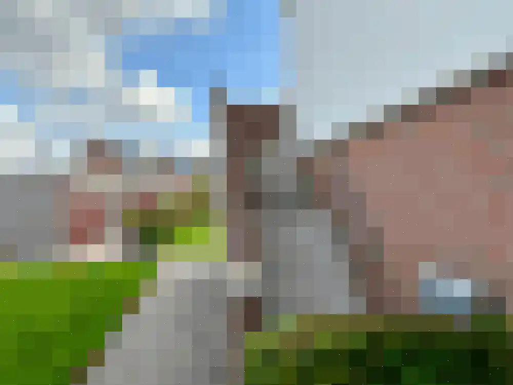 Nijerop 38 Nieuwe Niedorp thumbnail 7