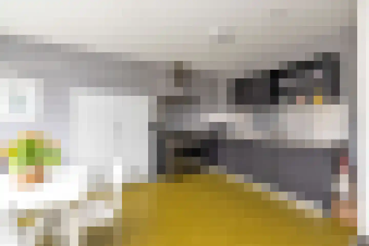 Nijerop 42 Nieuwe Niedorp thumbnail 11