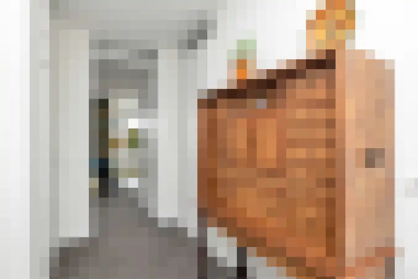 Nijerop 42 Nieuwe Niedorp thumbnail 5