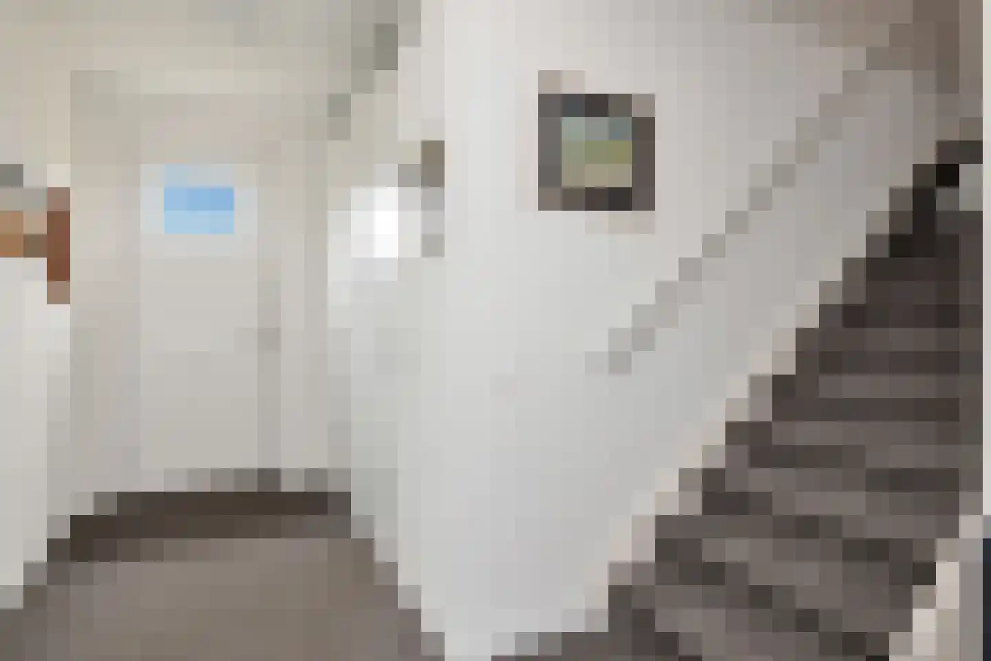 Nijerop 42 Nieuwe Niedorp thumbnail 7