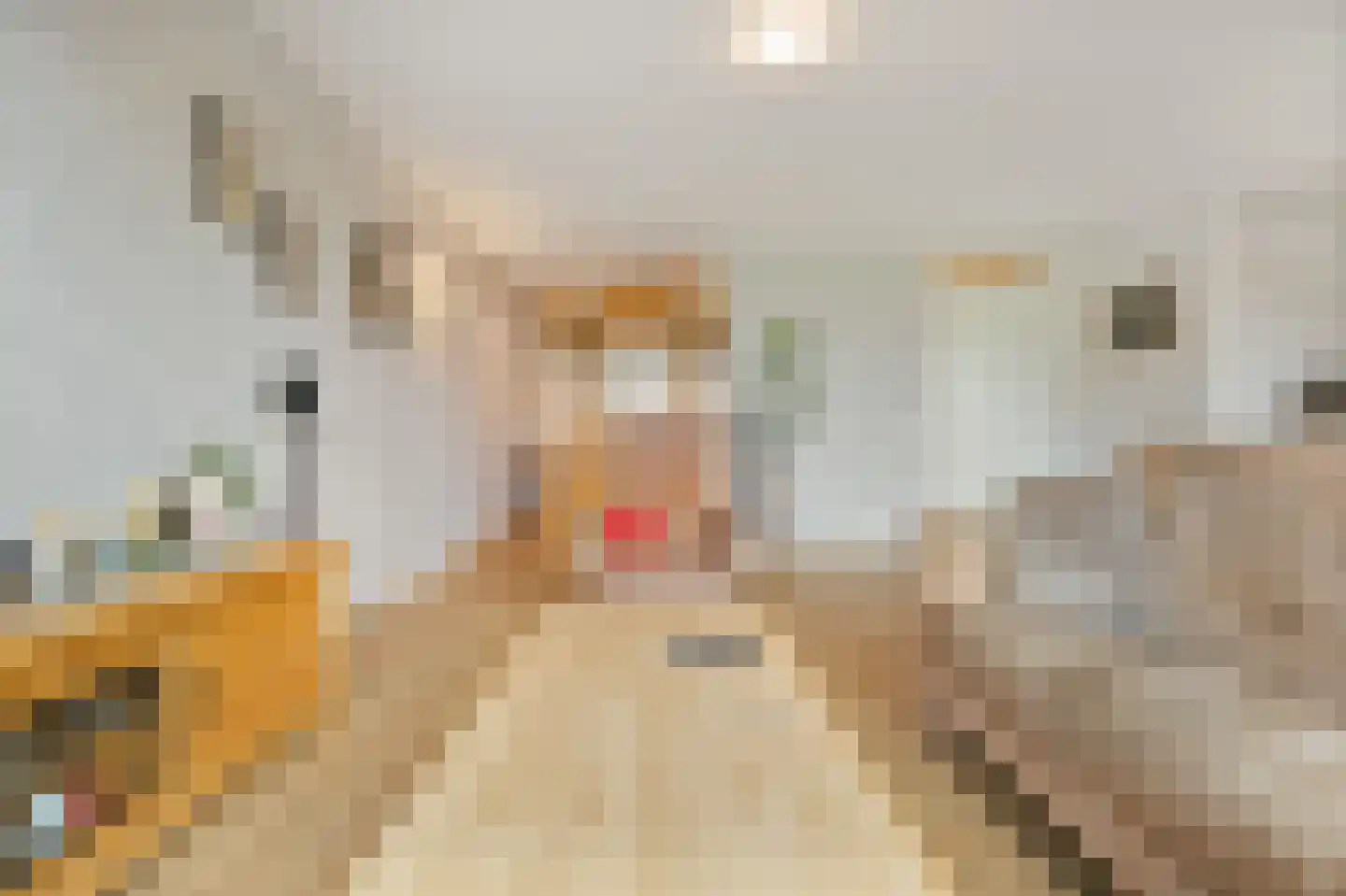 Nijerop 56 Nieuwe Niedorp thumbnail 24