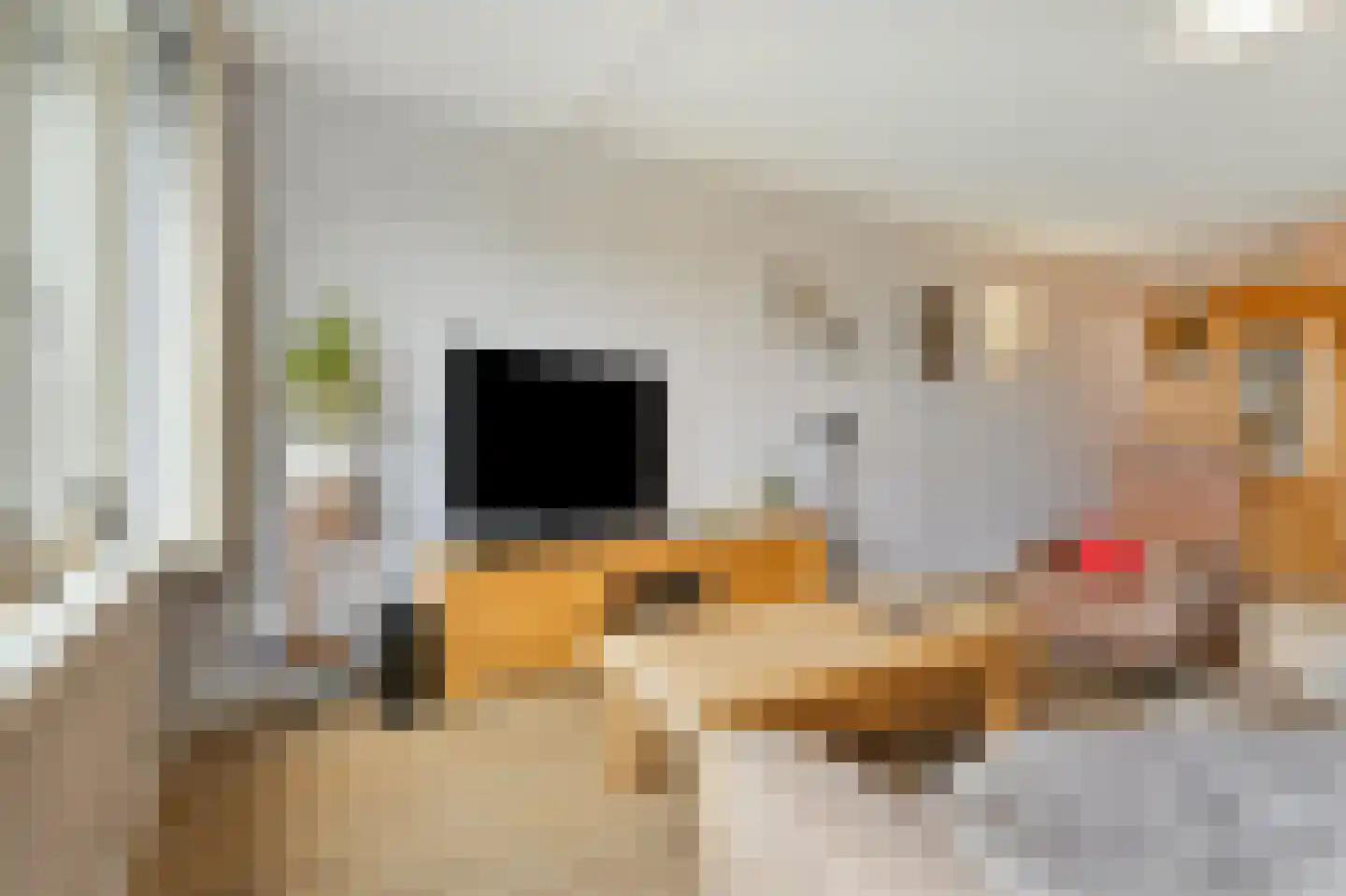 Nijerop 56 Nieuwe Niedorp thumbnail 25