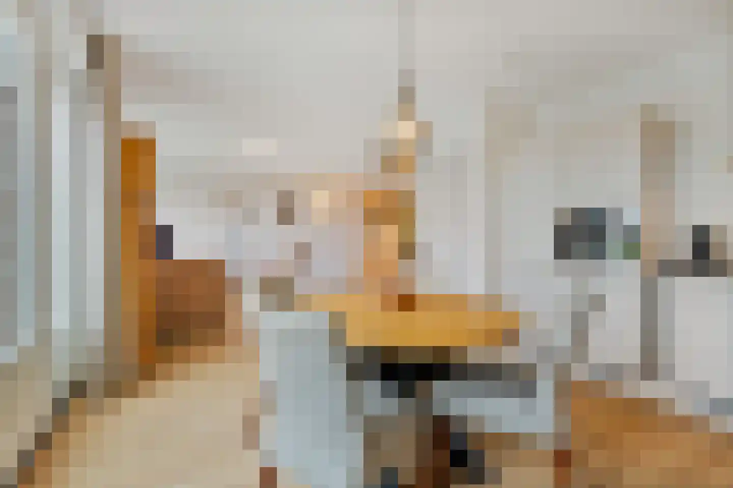 Nijerop 56 Nieuwe Niedorp thumbnail 31