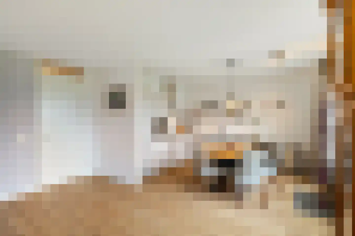 Nijerop 56 Nieuwe Niedorp thumbnail 4