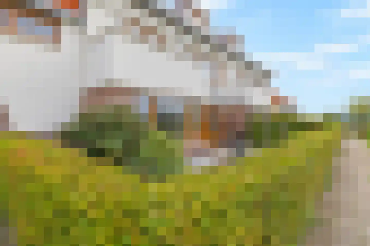 Nijerop 56 Nieuwe Niedorp thumbnail 40