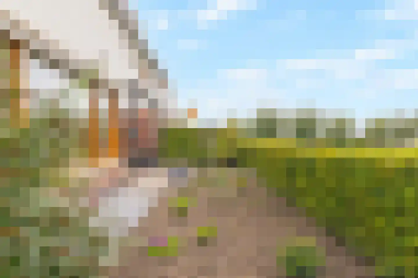 Nijerop 56 Nieuwe Niedorp thumbnail 44