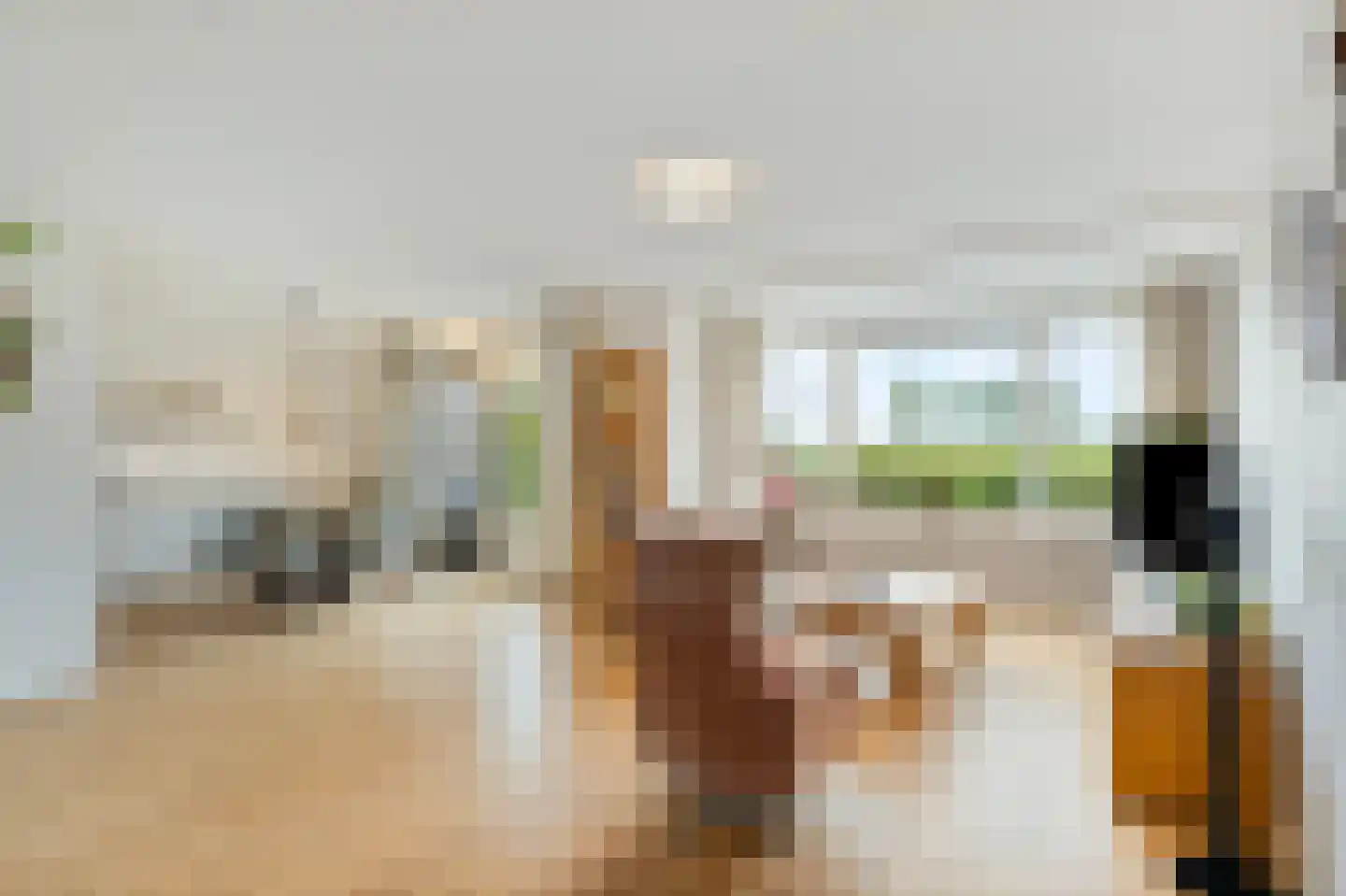 Nijerop 56 Nieuwe Niedorp thumbnail 5