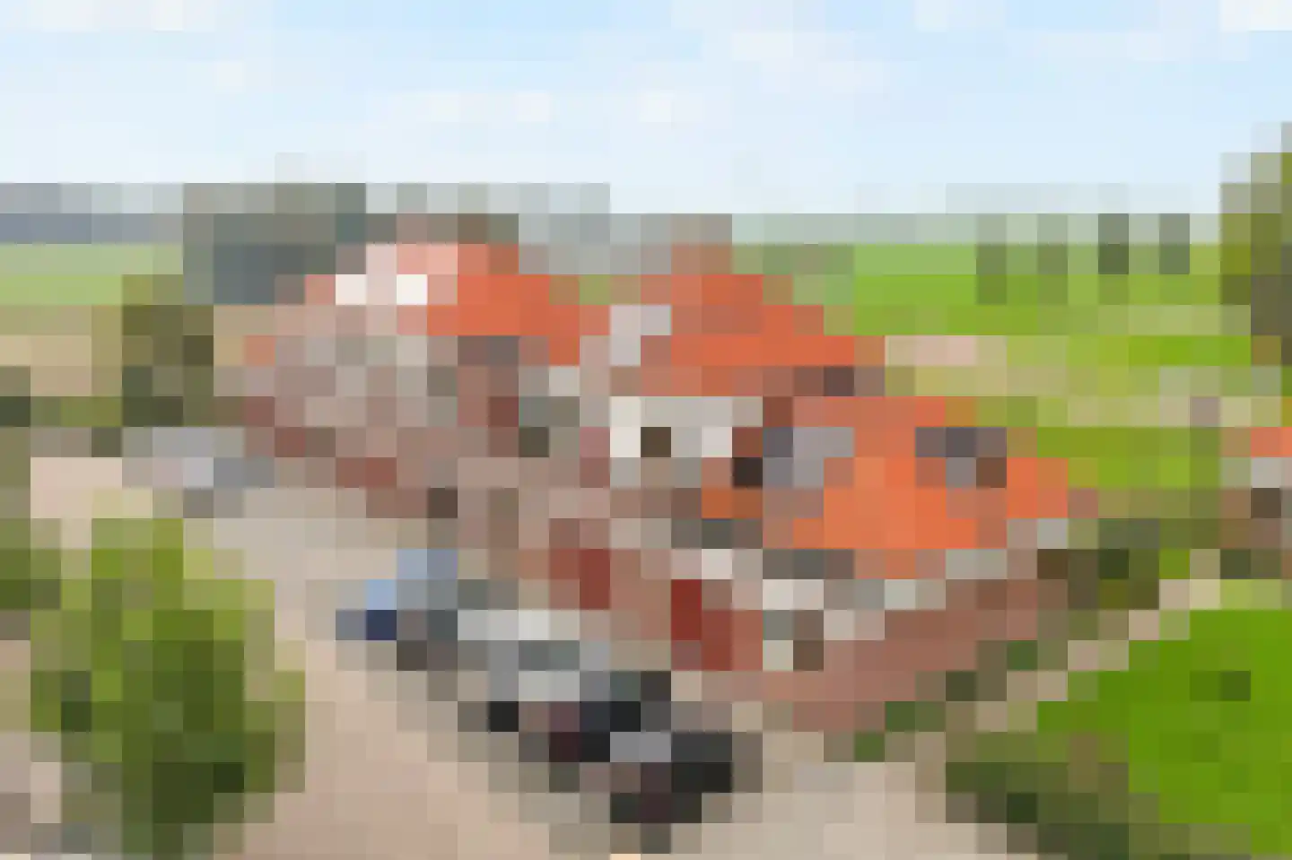 Nijerop 56 Nieuwe Niedorp thumbnail 9