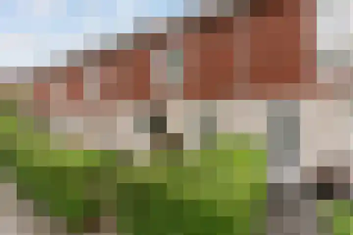 Nijerwalstraat 35 Zwolle thumbnail 28