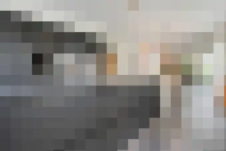 Nijerwalstraat 4 Zwolle thumbnail 17