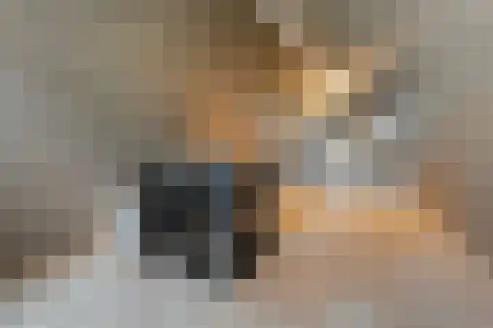 Nijerwalstraat 4 Zwolle thumbnail 37