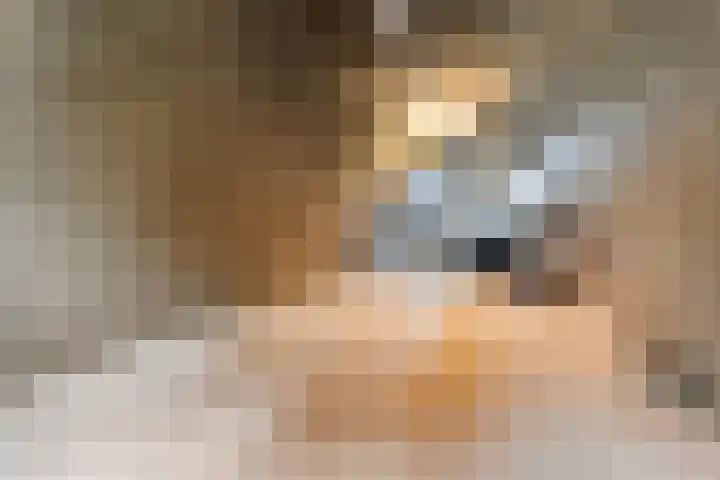 Nijerwalstraat 4 Zwolle thumbnail 38