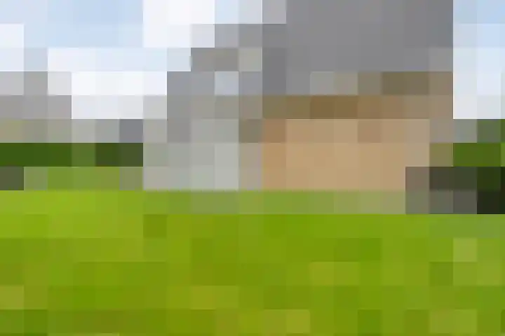 Nijerwalstraat 4 Zwolle thumbnail 41