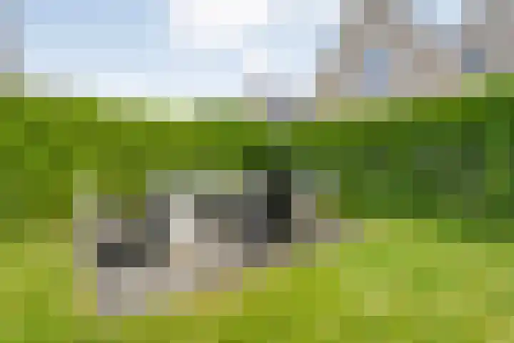 Nijerwalstraat 4 Zwolle thumbnail 42