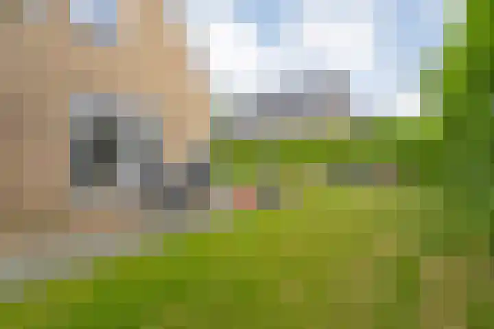Nijerwalstraat 4 Zwolle thumbnail 43