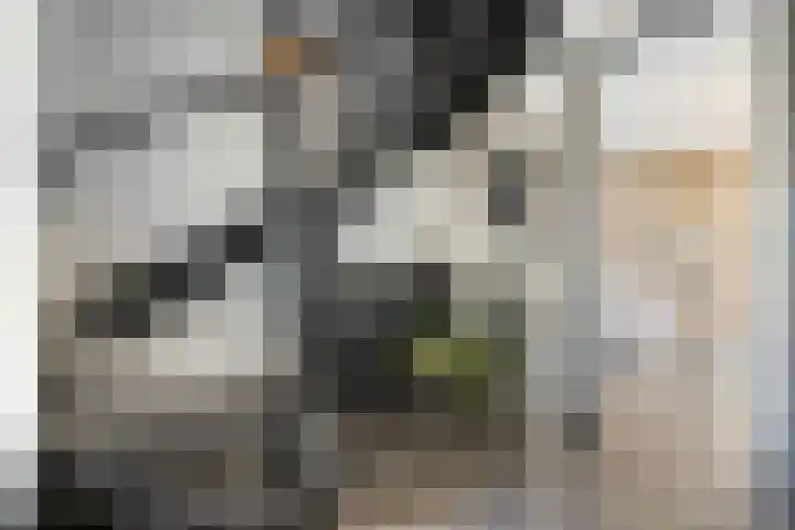 Nijerwalstraat 4 Zwolle thumbnail 5
