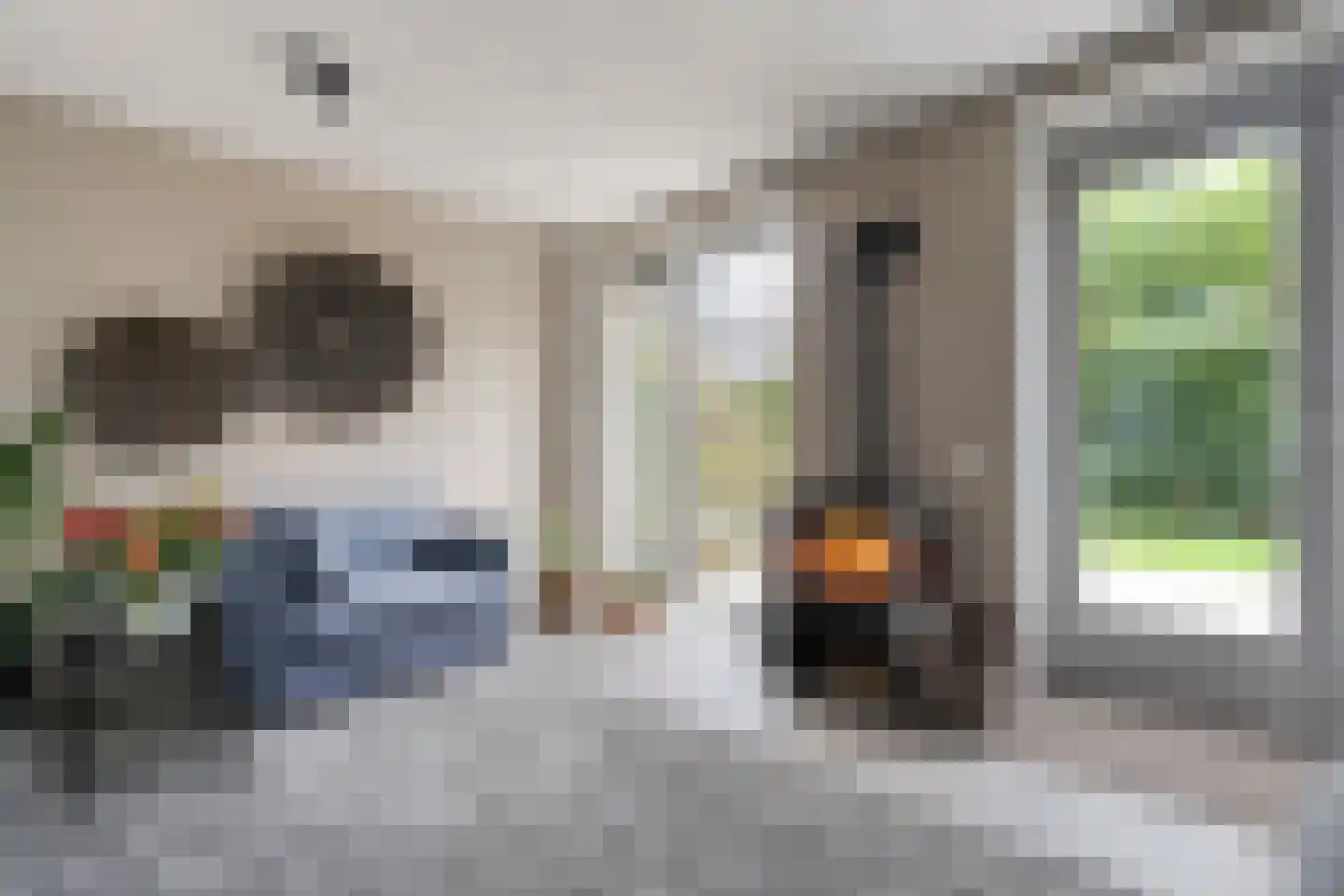 Nijerwalstraat 6 Zwolle thumbnail 10
