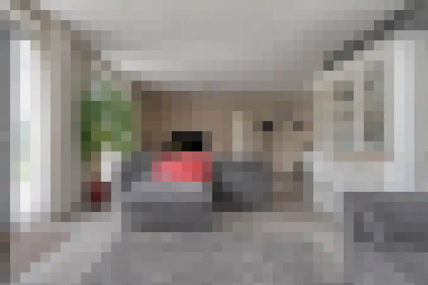 Nijerwalstraat 6 Zwolle thumbnail 15